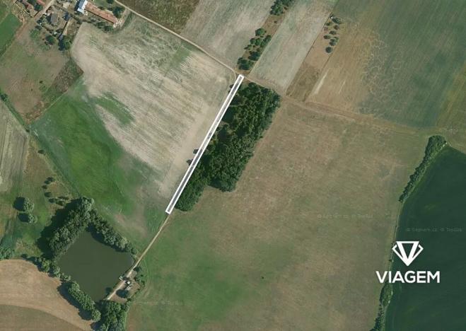 Prodej podílu pole, Hlavečník, 524 m2