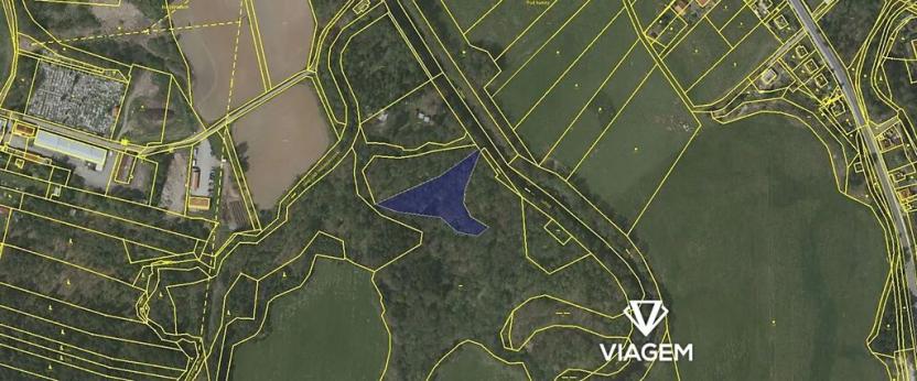 Prodej zahrady, Dvory nad Lužnicí, 4248 m2