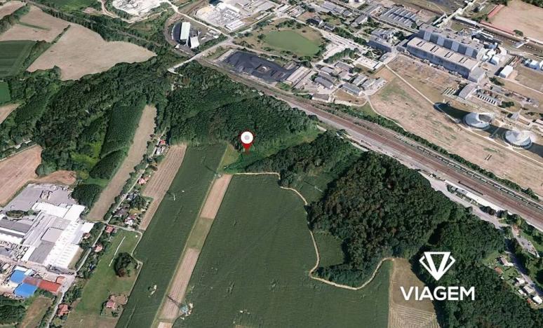 Prodej lesa, Dětmarovice, 3667 m2