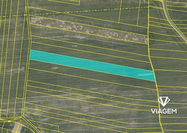 Prodej podílu pole, Slabčice, 2944 m2