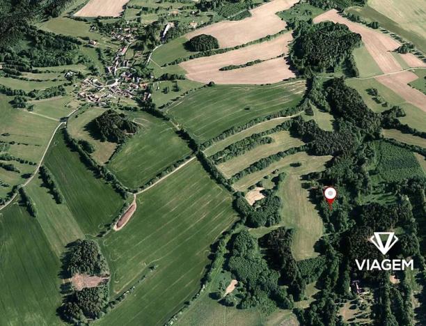 Prodej podílu lesa, Kaliště, 2503 m2