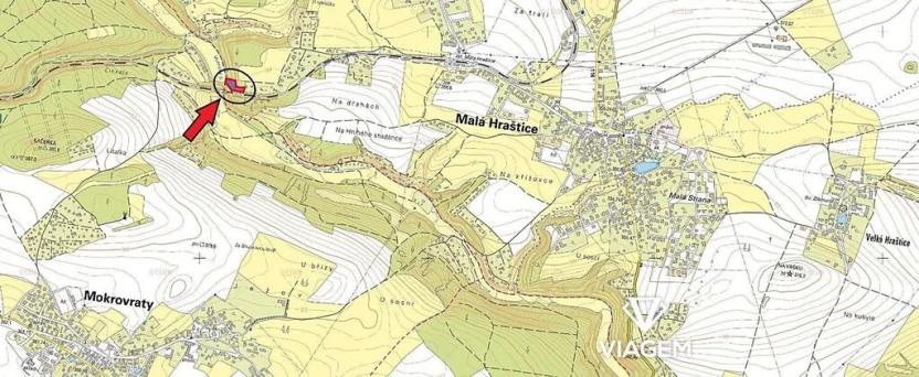 Prodej podílu lesa, Malá Hraštice, 598 m2