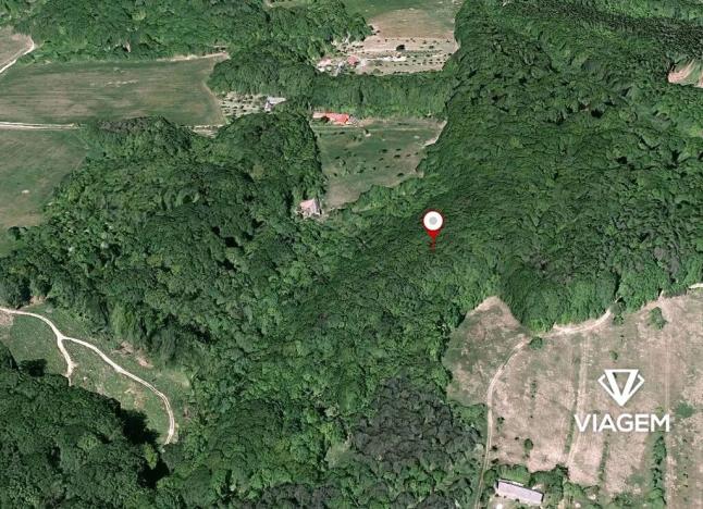 Prodej podílu lesa, Košíky, 2115 m2