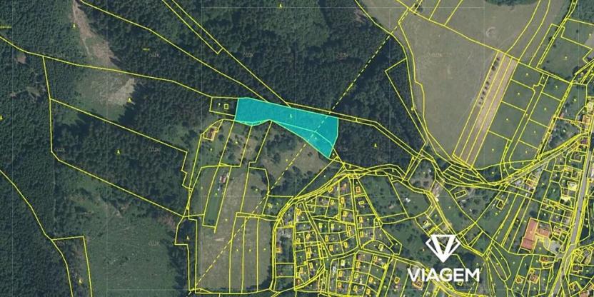 Prodej podílu lesa, Vsetín, Dolní Jasenka, 1671 m2