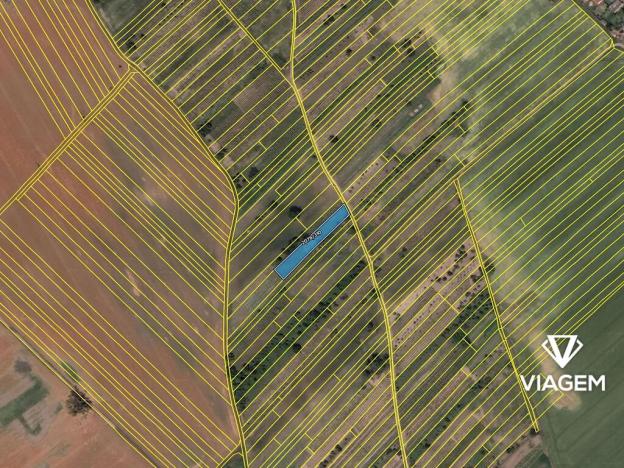 Prodej podílu pole, Hrušky, 51 m2