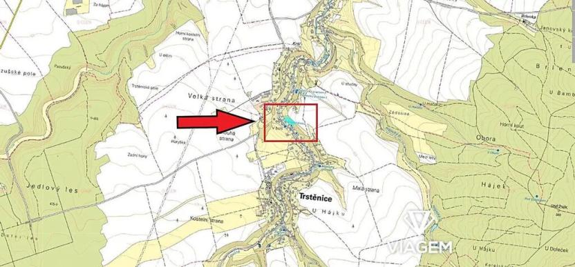 Prodej lesa, Trstěnice, 9612 m2