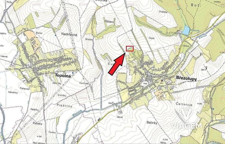 Prodej podílu lesa, Březolupy, 303 m2