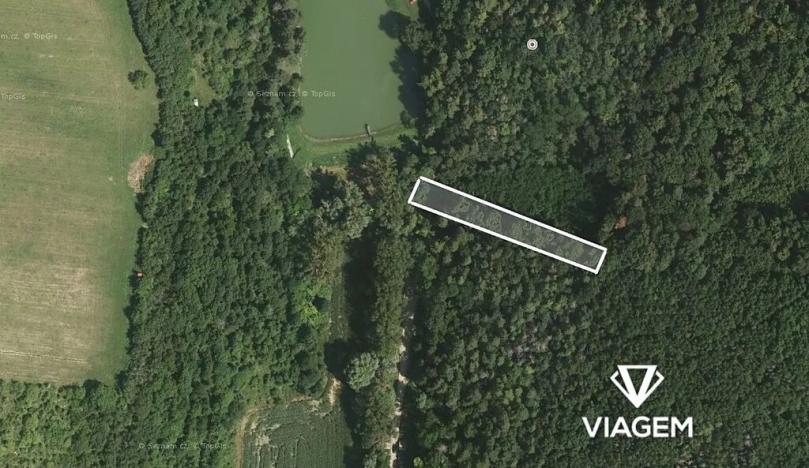 Prodej podílu lesa, Žarošice, 350 m2