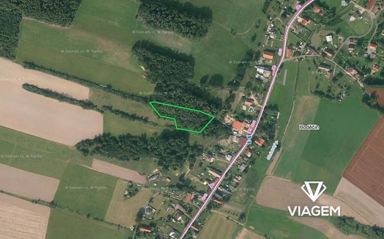 Prodej podílu lesa, Olešnice, 292 m2