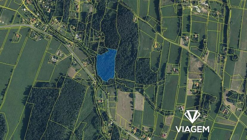Prodej podílu lesa, Janovice, 1420 m2