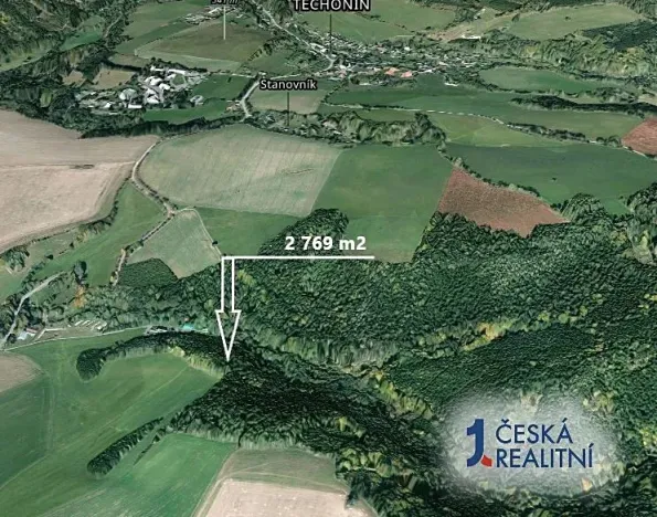 Prodej podílu lesa, Těchonín, 451 m2