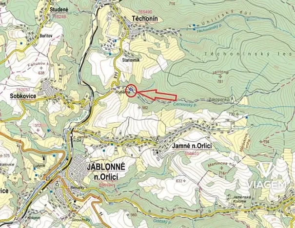 Prodej podílu lesa, Těchonín, 451 m2