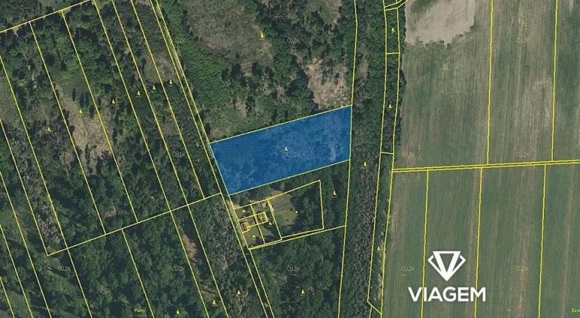 Prodej podílu lesa, Břehov, 3796 m2