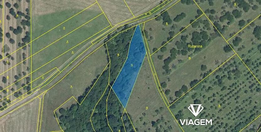 Prodej podílu pole, Veselíčko, 682 m2