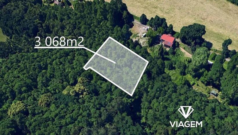 Prodej podílu lesa, Dolní Lutyně, 306 m2