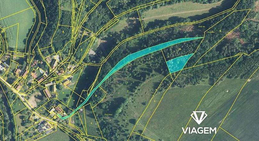 Prodej podílu lesa, Heřmanice, 2140 m2