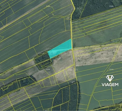 Prodej podílu pole, Skotnice, 4210 m2