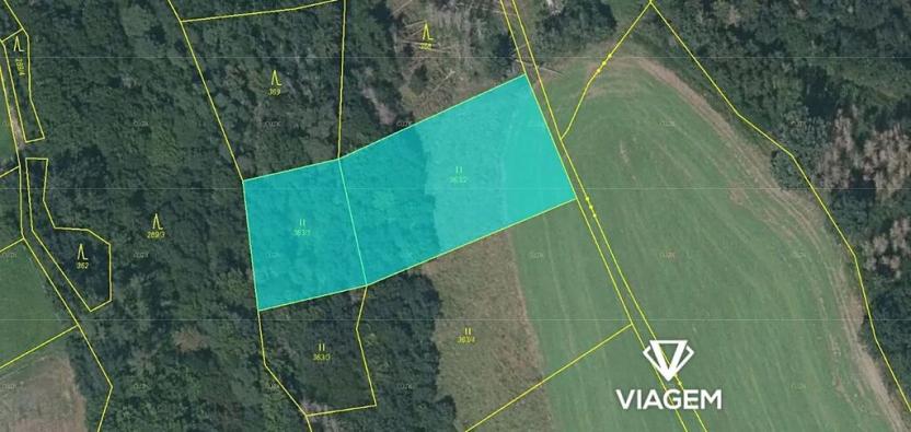 Prodej lesa, Krhov, 3039 m2