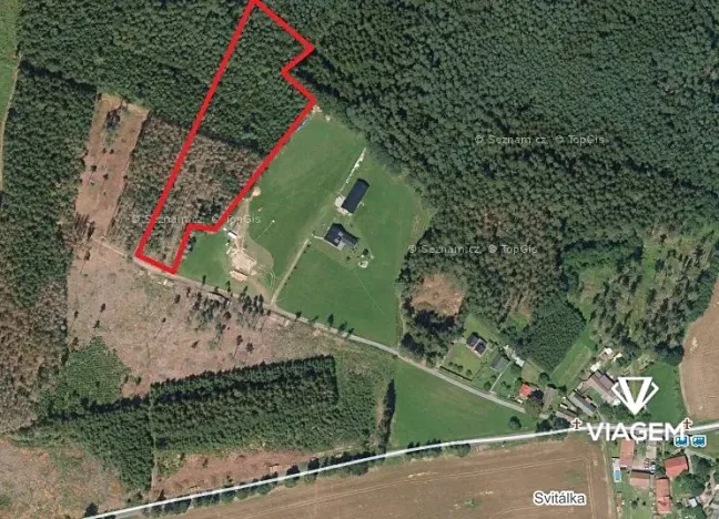 Prodej podílu lesa, Krásná Hora, Kojkovice, 2716 m2