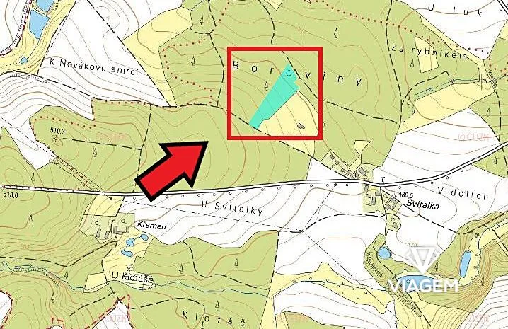 Prodej podílu lesa, Krásná Hora, Kojkovice, 2716 m2