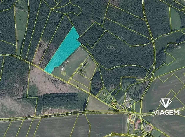 Prodej podílu lesa, Krásná Hora, Kojkovice, 2716 m2