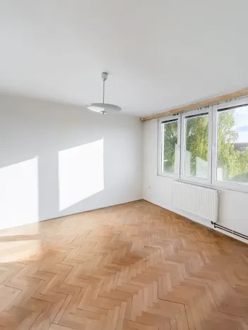 Prodej bytu 3+1, Slavonice, Svatopluka Čecha, 65 m2