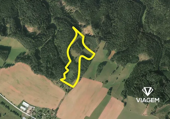 Prodej podílu pole, Borovnička, 3072 m2