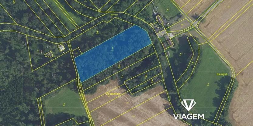 Prodej podílu zahrady, Žerotín, 3763 m2