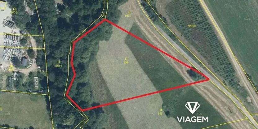 Prodej podílu pole, Světlá nad Sázavou, 1293 m2