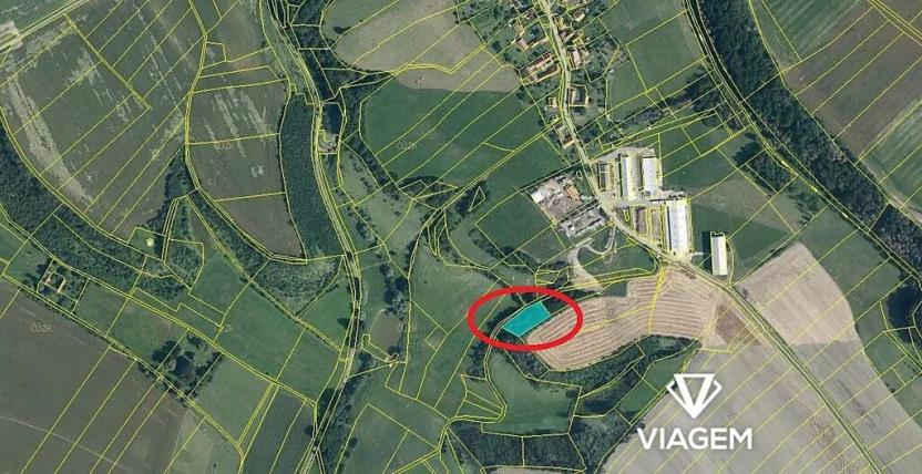 Prodej podílu lesa, Střemošice, 326 m2