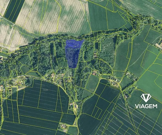 Prodej podílu lesa, Sobotka, 2241 m2