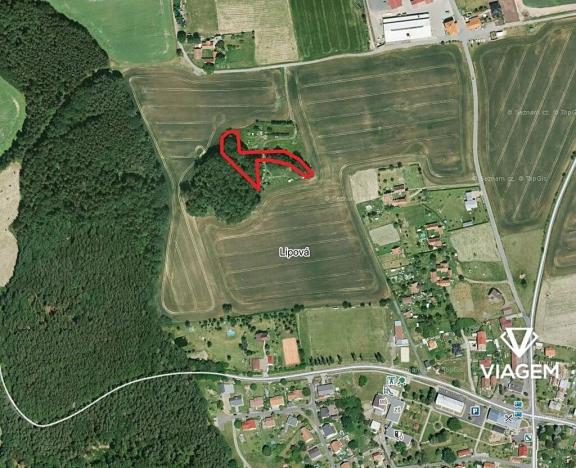 Prodej podílu lesa, Lipová, 2049 m2