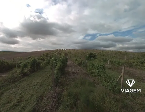 Prodej podílu pole, Valtice, 706 m2