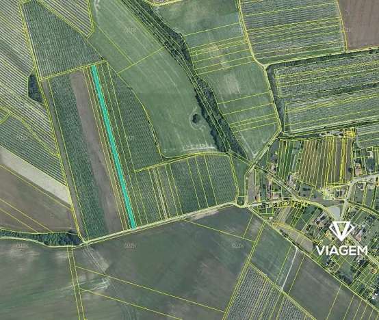 Prodej podílu pole, Valtice, 706 m2