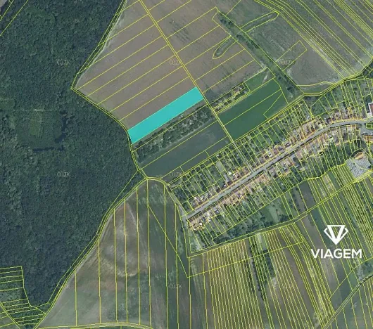 Prodej podílu pole, Letonice, 2980 m2