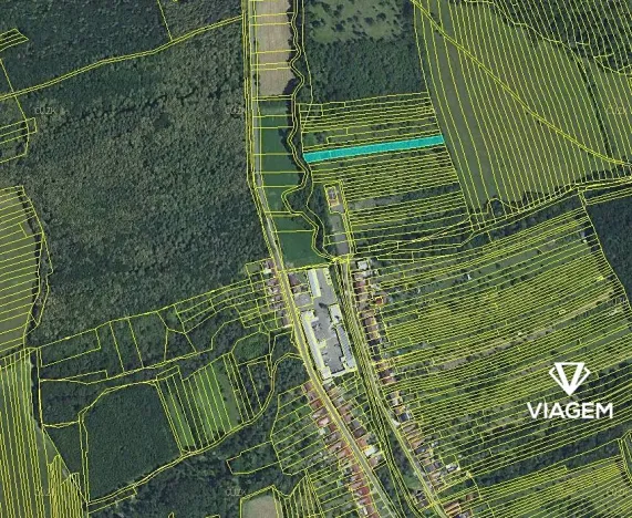 Prodej podílu lesa, Veletiny, 393 m2