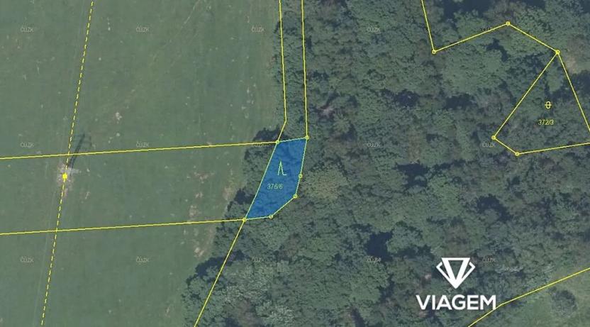 Prodej lesa, Česká Kamenice, 681 m2