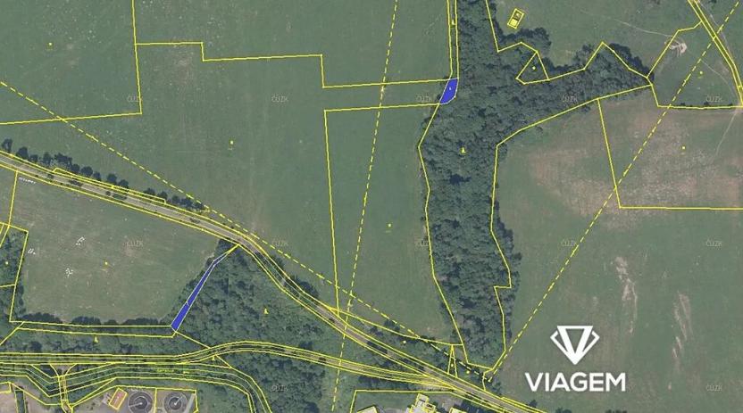 Prodej lesa, Česká Kamenice, 681 m2