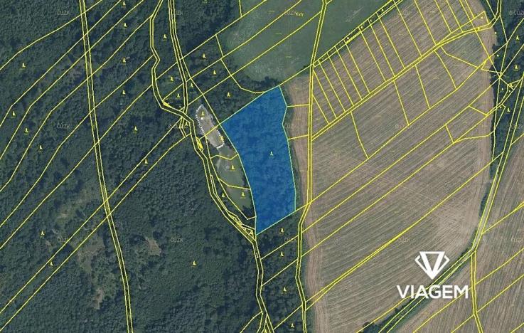 Prodej podílu lesa, Fulnek, 1868 m2