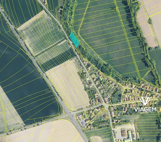 Prodej lesa, Zámrsk, 2073 m2