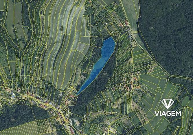 Prodej podílu lesa, Košíky, 3322 m2