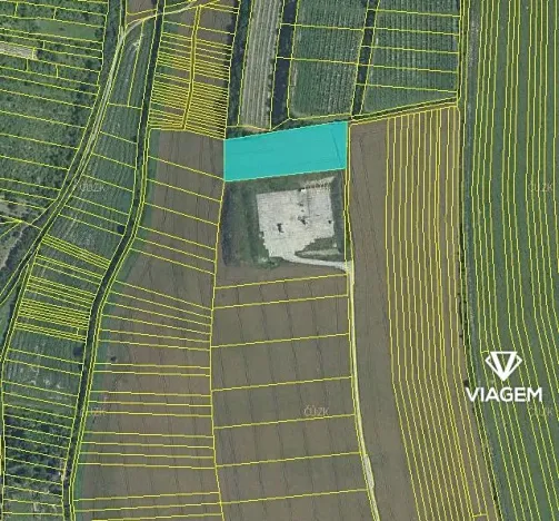 Prodej podílu pole, Žarošice, 786 m2