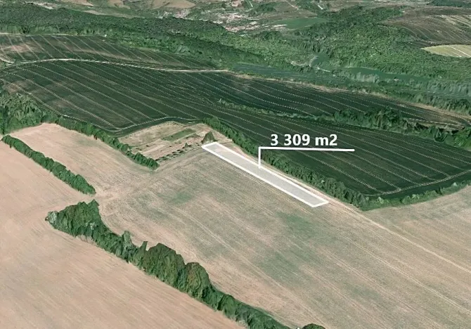 Prodej podílu pole, Traplice, 1103 m2