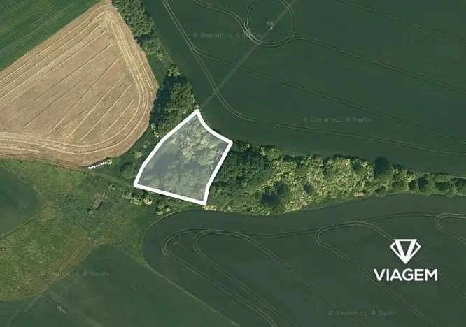Prodej podílu pole, Veliká Ves, 602 m2
