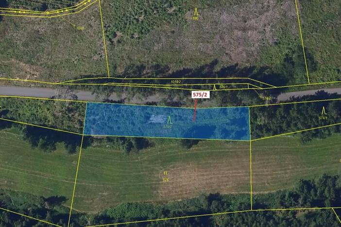 Dražba lesa, Kojetín, 1631 m2