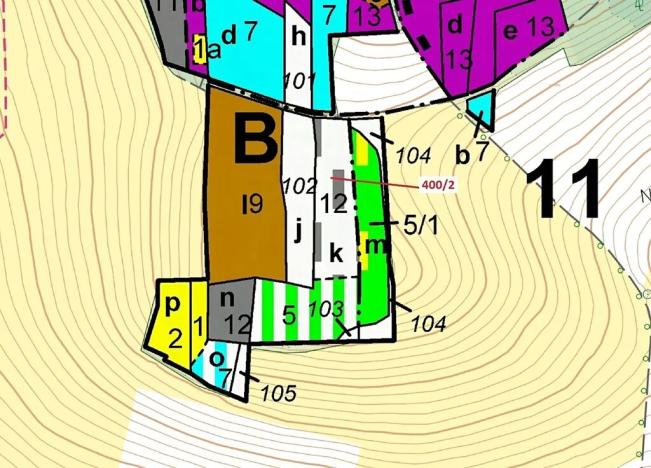 Dražba lesa, Bílsko, 3874 m2