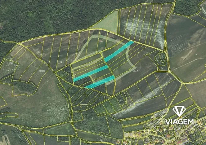 Prodej podílu pole, Vonoklasy, 6942 m2