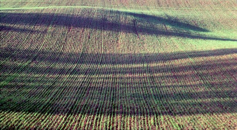 Prodej pole, Ždánice, 4722 m2