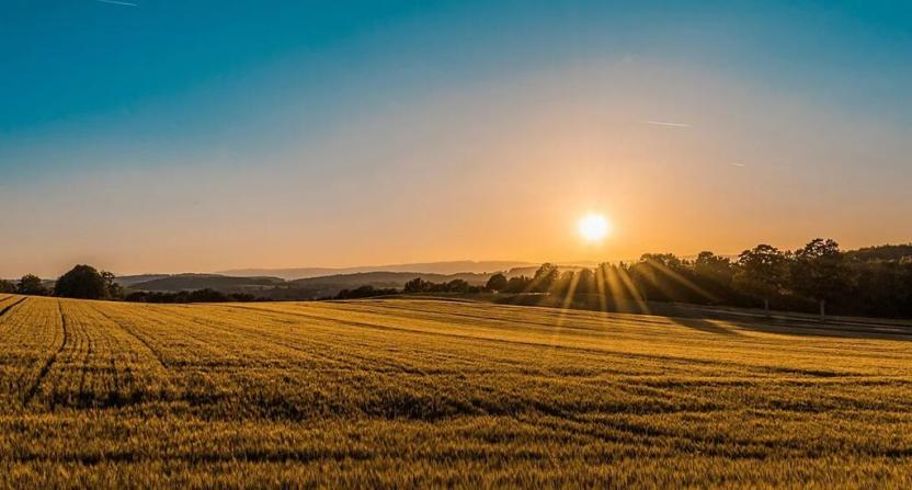 Prodej podílu pole, Prakšice, 1895 m2