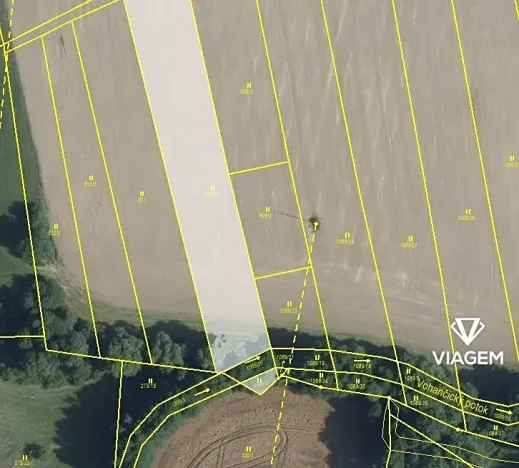 Prodej podílu pole, Golčův Jeníkov, 1259 m2